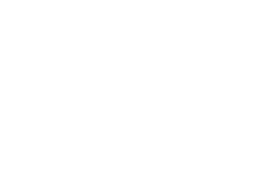 Rockvale Puppies Logo