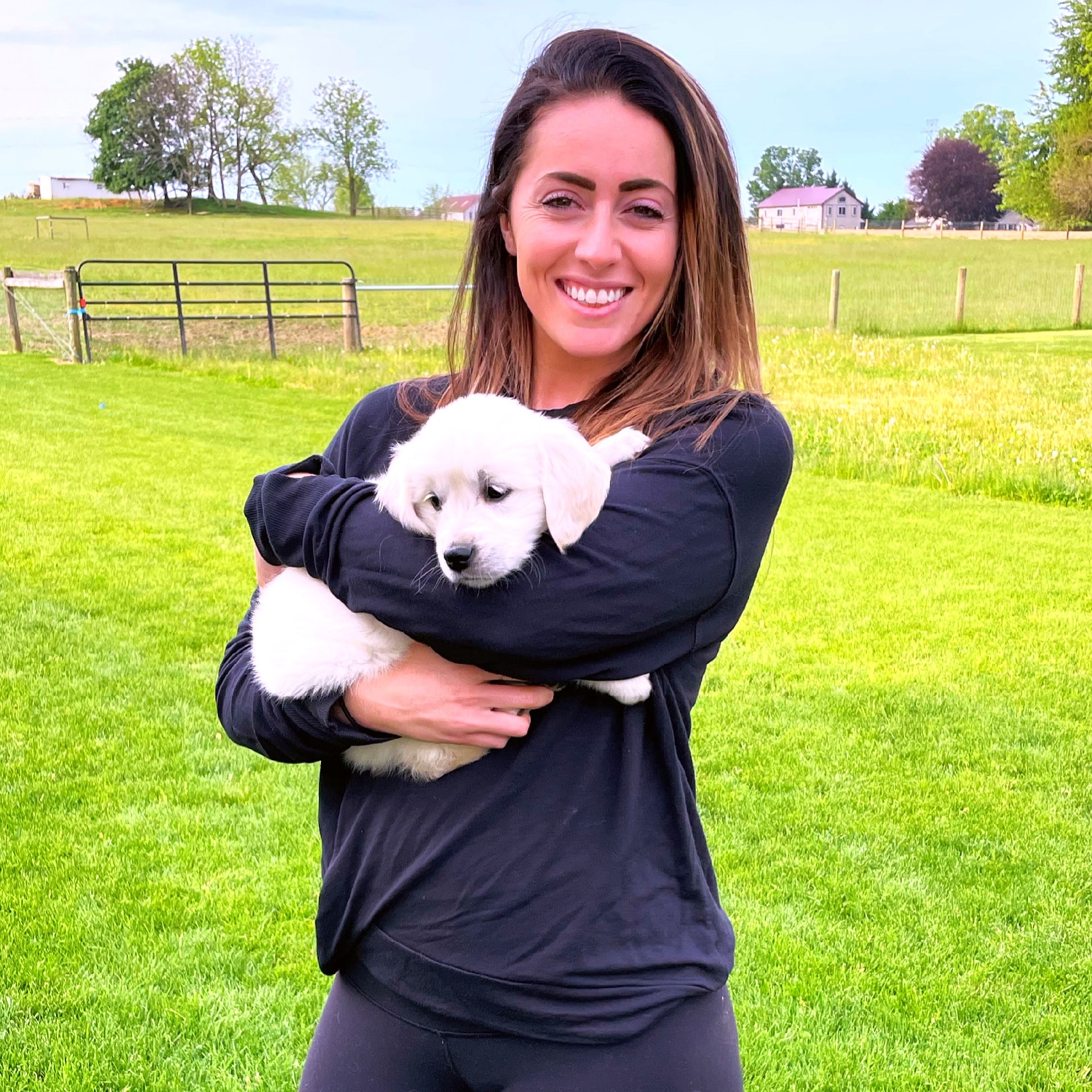 golden retriever puppy with new owner